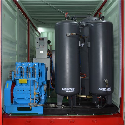 Psa N2 Plant