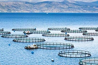Aquaculture